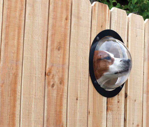 A dog looking through its pet peek window