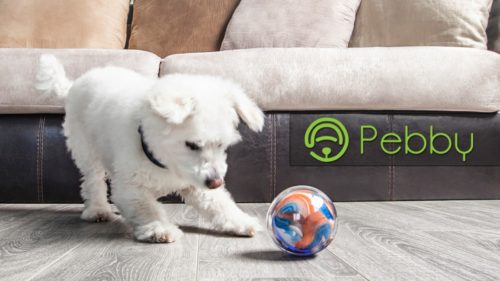Pebby, the smart collar and ball system 