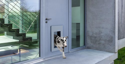 dog jumping through petWALK door